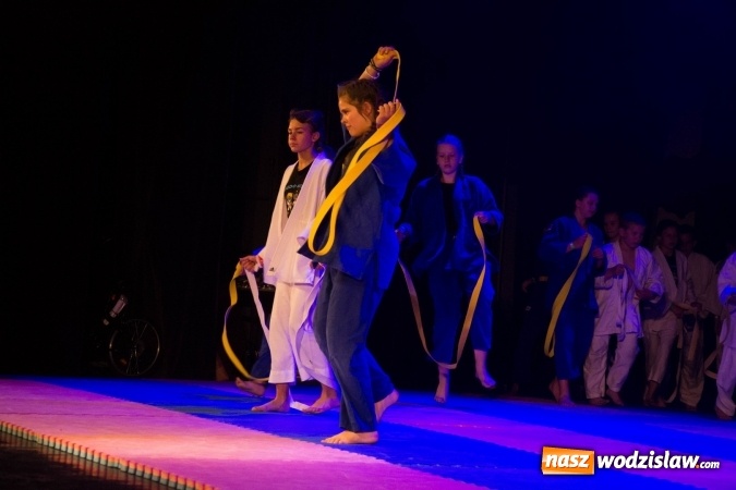 Zdjęcie w galerii na portalu naszwodzislaw.com: II Gala Judo Kids – sportowe emocje w WCK wiadomości z regionu