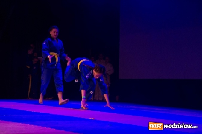 Zdjęcie w galerii na portalu naszwodzislaw.com: II Gala Judo Kids – sportowe emocje w WCK wiadomości z regionu