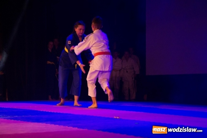 Zdjęcie w galerii na portalu naszwodzislaw.com: II Gala Judo Kids – sportowe emocje w WCK wiadomości z regionu