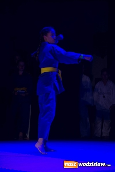 Zdjęcie w galerii na portalu naszwodzislaw.com: II Gala Judo Kids – sportowe emocje w WCK wiadomości z regionu