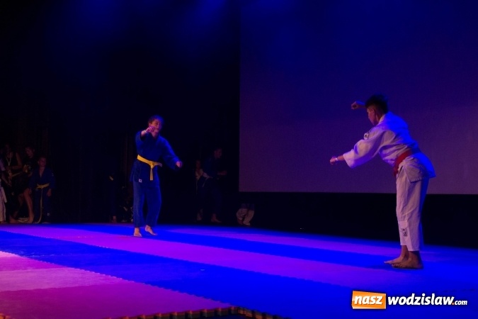 Zdjęcie w galerii na portalu naszwodzislaw.com: II Gala Judo Kids – sportowe emocje w WCK wiadomości z regionu