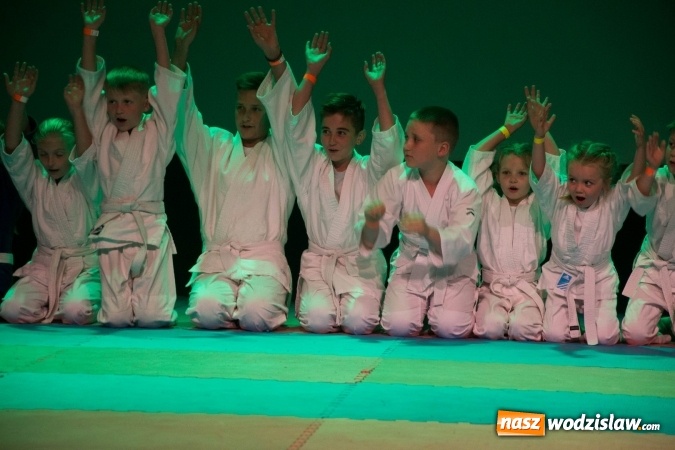 Zdjęcie w galerii na portalu naszwodzislaw.com: II Gala Judo Kids – sportowe emocje w WCK wiadomości z regionu