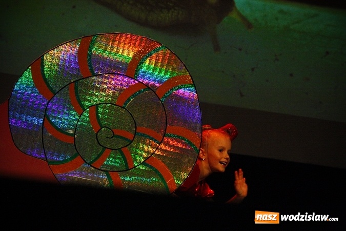 Zdjęcie w galerii na portalu naszwodzislaw.com: Wodzisław: Miraż świętuje 25-lecie. 120 tancerzy na scenie WCK wiadomości z regionu