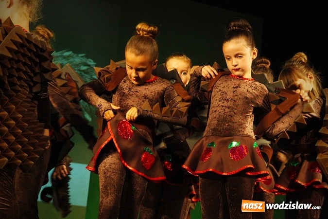 Zdjęcie w galerii na portalu naszwodzislaw.com: Wodzisław: Miraż świętuje 25-lecie. 120 tancerzy na scenie WCK wiadomości z regionu