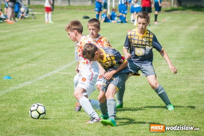 Zdjęcie w galerii na portalu naszwodzislaw.com: Zespoły z regionu na Tworków Cup 2017 wiadomości z regionu