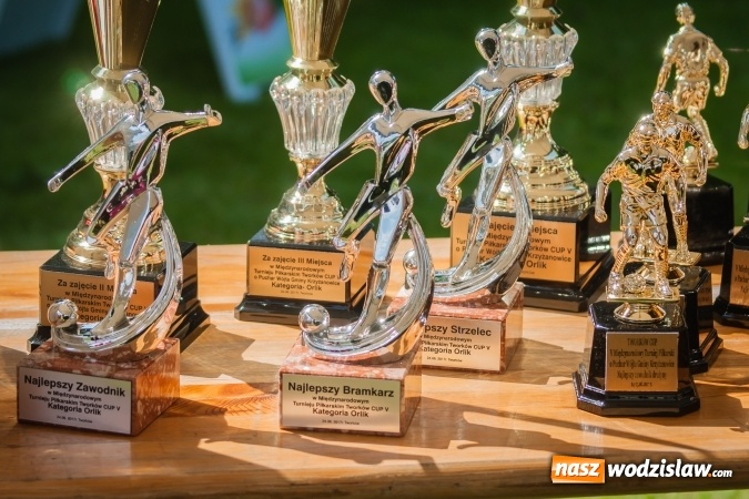 Zdjęcie w galerii na portalu naszwodzislaw.com: Zespoły z regionu na Tworków Cup 2017 wiadomości z regionu