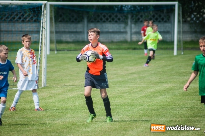 Zdjęcie w galerii na portalu naszwodzislaw.com: Zespoły z regionu na Tworków Cup 2017 wiadomości z regionu