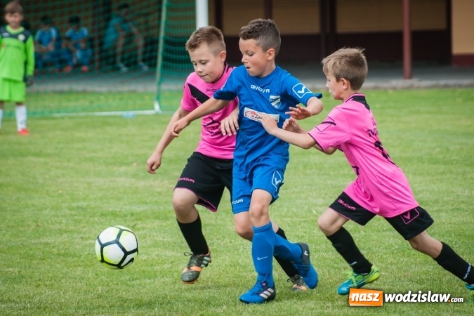 Zdjęcie w galerii na portalu naszwodzislaw.com: Zespoły z regionu na Tworków Cup 2017 wiadomości z regionu