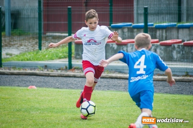 Zdjęcie w galerii na portalu naszwodzislaw.com: Zespoły z regionu na Tworków Cup 2017 wiadomości z regionu