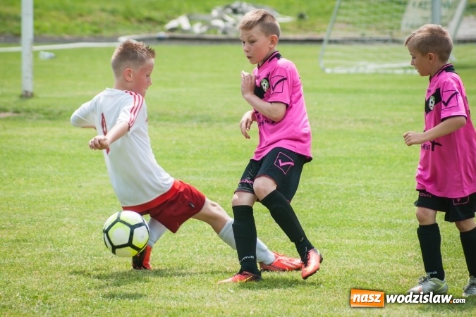 Zdjęcie w galerii na portalu naszwodzislaw.com: Zespoły z regionu na Tworków Cup 2017 wiadomości z regionu
