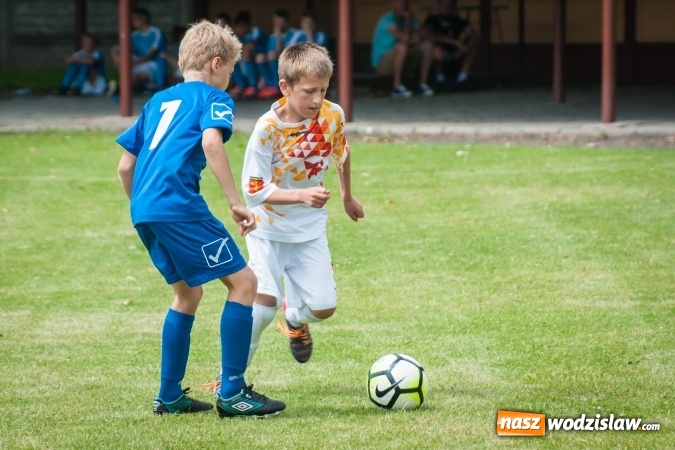 Zdjęcie w galerii na portalu naszwodzislaw.com: Zespoły z regionu na Tworków Cup 2017 wiadomości z regionu