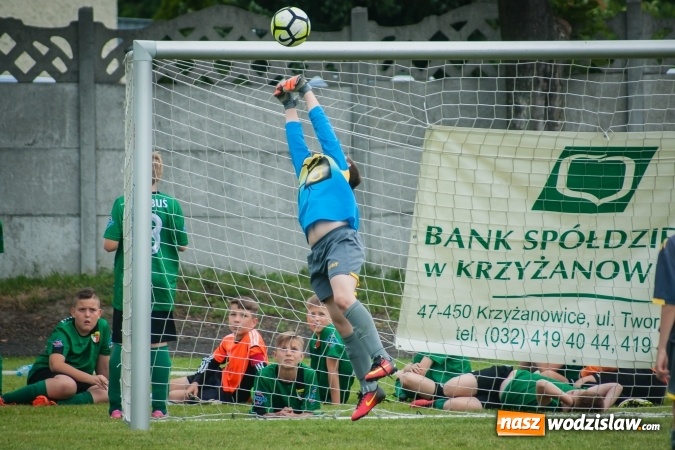 Zdjęcie w galerii na portalu naszwodzislaw.com: Zespoły z regionu na Tworków Cup 2017 wiadomości z regionu