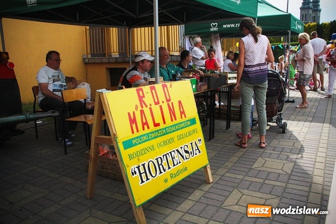 Zdjęcie w galerii na portalu naszwodzislaw.com: Radlińskie Organizacje Pozarządowe pokazały co potrafią.&nbsp;FOTO wiadomości z regionu