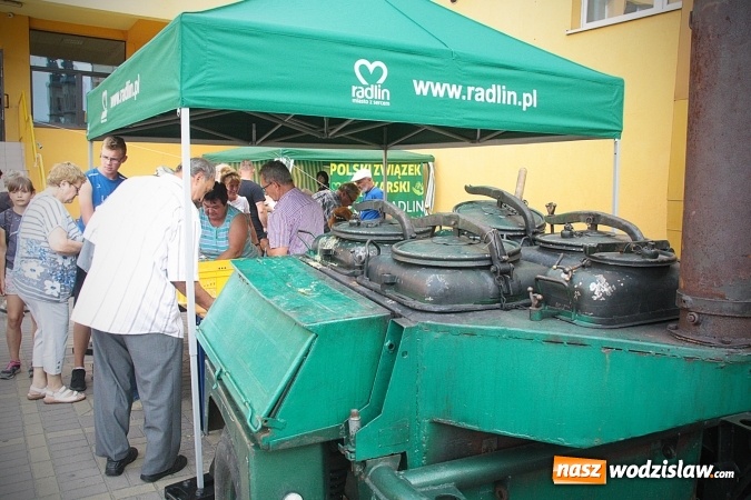 Zdjęcie w galerii na portalu naszwodzislaw.com: Radlińskie Organizacje Pozarządowe pokazały co potrafią.&nbsp;FOTO wiadomości z regionu