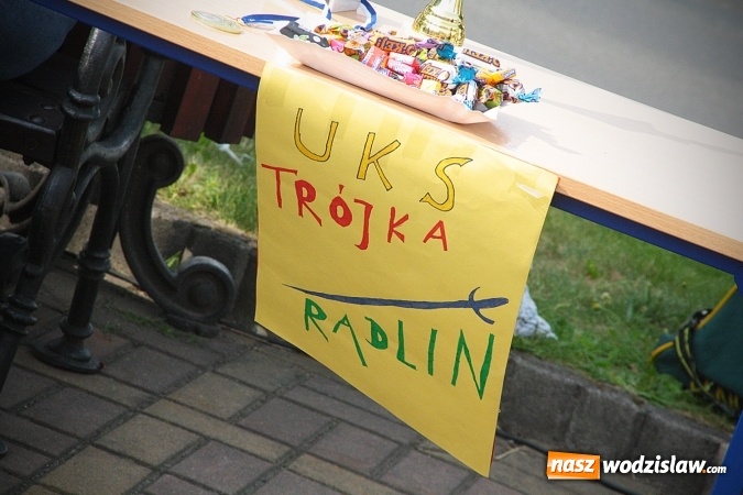 Zdjęcie w galerii na portalu naszwodzislaw.com: Radlińskie Organizacje Pozarządowe pokazały co potrafią.&nbsp;FOTO wiadomości z regionu