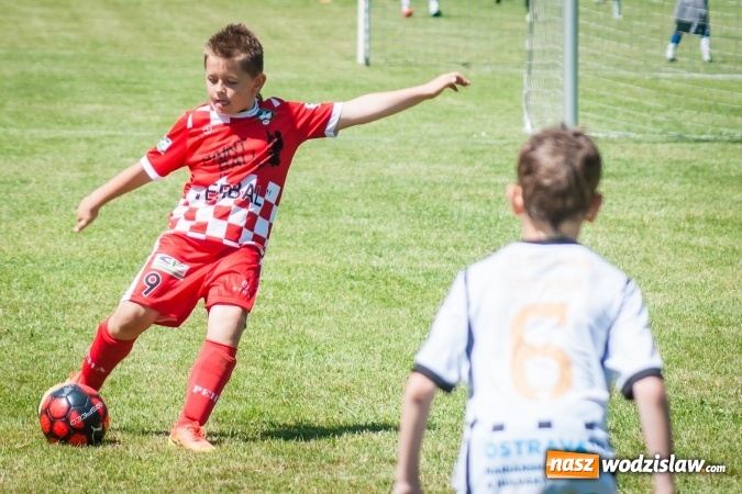 Zdjęcie w galerii na portalu naszwodzislaw.com: Tworków Cup 2017. FP Jasienica zwycięska w kategorii żaków. Dobre lokaty Odry Centrum i Naprzodu Rydułtowy wiadomości z regionu
