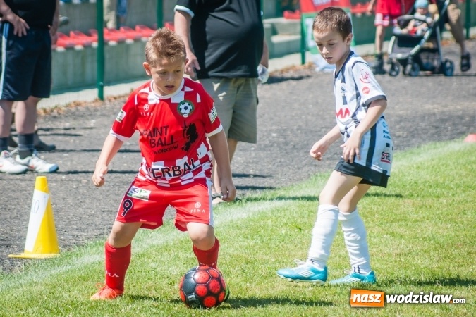 Zdjęcie w galerii na portalu naszwodzislaw.com: Tworków Cup 2017. FP Jasienica zwycięska w kategorii żaków. Dobre lokaty Odry Centrum i Naprzodu Rydułtowy wiadomości z regionu