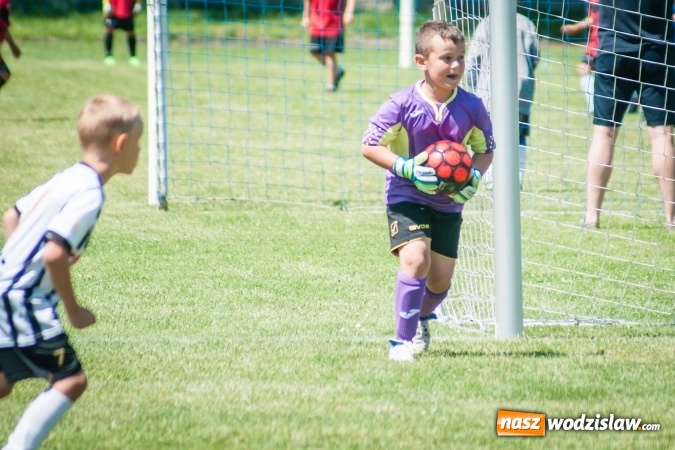 Zdjęcie w galerii na portalu naszwodzislaw.com: Tworków Cup 2017. FP Jasienica zwycięska w kategorii żaków. Dobre lokaty Odry Centrum i Naprzodu Rydułtowy wiadomości z regionu