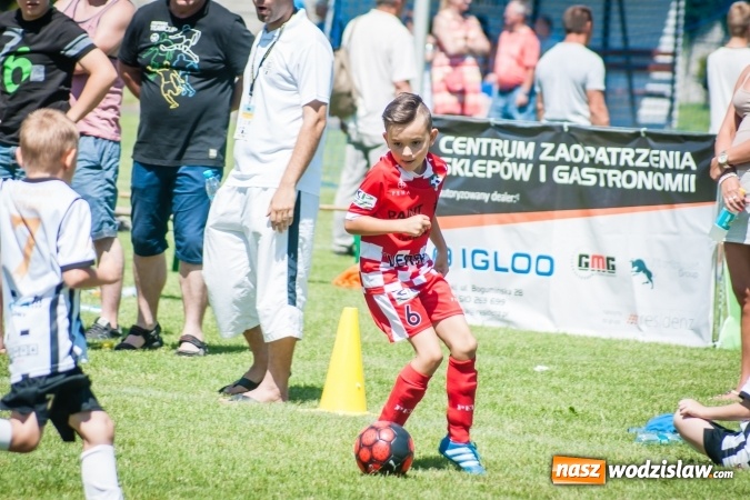 Zdjęcie w galerii na portalu naszwodzislaw.com: Tworków Cup 2017. FP Jasienica zwycięska w kategorii żaków. Dobre lokaty Odry Centrum i Naprzodu Rydułtowy wiadomości z regionu