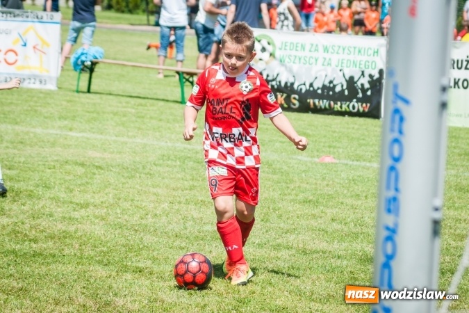 Zdjęcie w galerii na portalu naszwodzislaw.com: Tworków Cup 2017. FP Jasienica zwycięska w kategorii żaków. Dobre lokaty Odry Centrum i Naprzodu Rydułtowy wiadomości z regionu