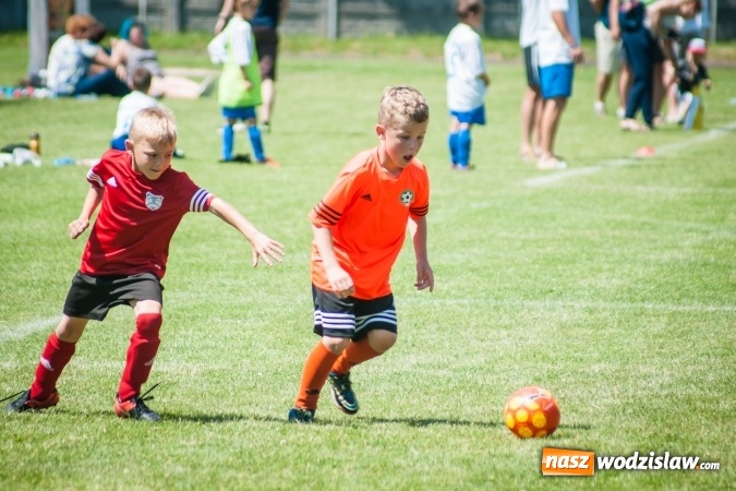 Zdjęcie w galerii na portalu naszwodzislaw.com: Tworków Cup 2017. FP Jasienica zwycięska w kategorii żaków. Dobre lokaty Odry Centrum i Naprzodu Rydułtowy wiadomości z regionu