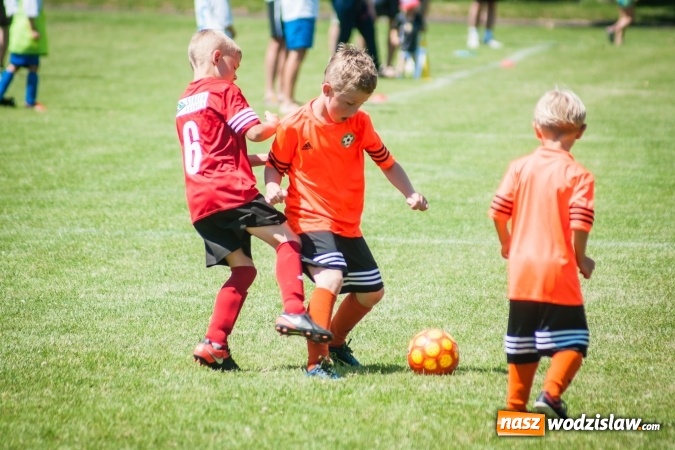 Zdjęcie w galerii na portalu naszwodzislaw.com: Tworków Cup 2017. FP Jasienica zwycięska w kategorii żaków. Dobre lokaty Odry Centrum i Naprzodu Rydułtowy wiadomości z regionu