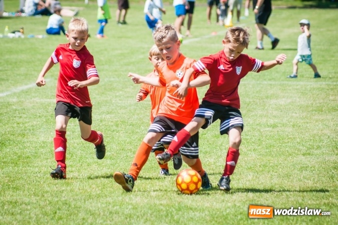 Zdjęcie w galerii na portalu naszwodzislaw.com: Tworków Cup 2017. FP Jasienica zwycięska w kategorii żaków. Dobre lokaty Odry Centrum i Naprzodu Rydułtowy wiadomości z regionu