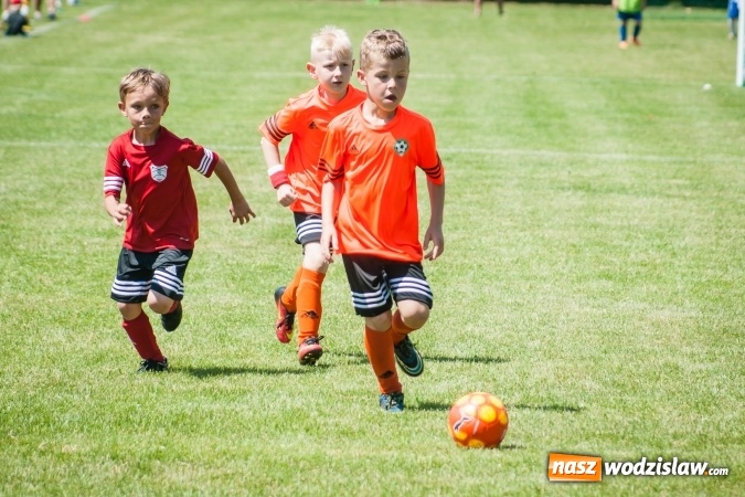 Zdjęcie w galerii na portalu naszwodzislaw.com: Tworków Cup 2017. FP Jasienica zwycięska w kategorii żaków. Dobre lokaty Odry Centrum i Naprzodu Rydułtowy wiadomości z regionu