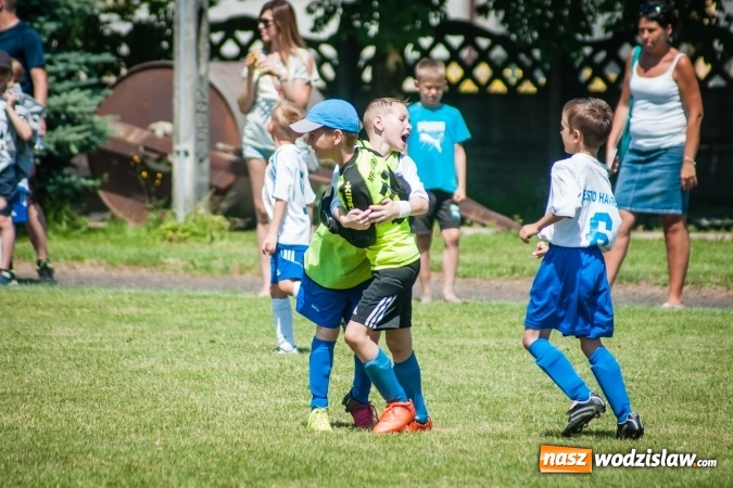 Zdjęcie w galerii na portalu naszwodzislaw.com: Tworków Cup 2017. FP Jasienica zwycięska w kategorii żaków. Dobre lokaty Odry Centrum i Naprzodu Rydułtowy wiadomości z regionu