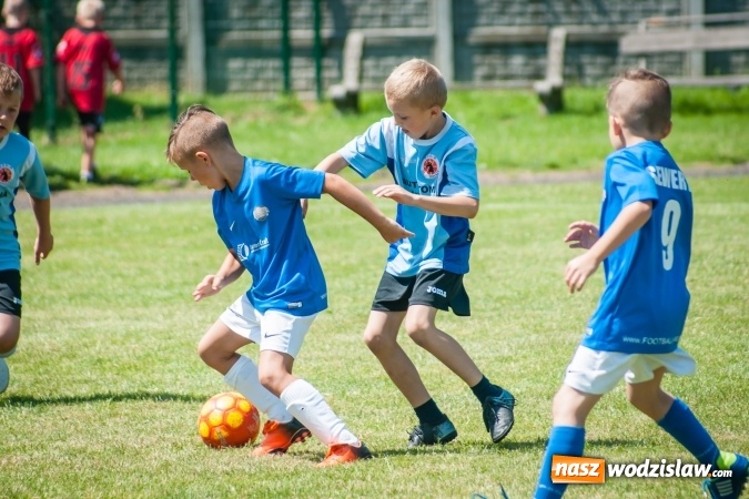 Zdjęcie w galerii na portalu naszwodzislaw.com: Tworków Cup 2017. FP Jasienica zwycięska w kategorii żaków. Dobre lokaty Odry Centrum i Naprzodu Rydułtowy wiadomości z regionu