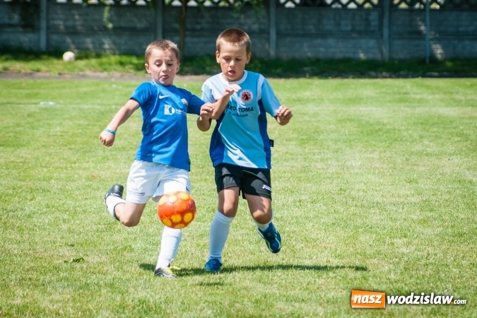 Zdjęcie w galerii na portalu naszwodzislaw.com: Tworków Cup 2017. FP Jasienica zwycięska w kategorii żaków. Dobre lokaty Odry Centrum i Naprzodu Rydułtowy wiadomości z regionu