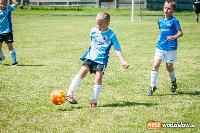 Zdjęcie w galerii na portalu naszwodzislaw.com: Tworków Cup 2017. FP Jasienica zwycięska w kategorii żaków. Dobre lokaty Odry Centrum i Naprzodu Rydułtowy wiadomości z regionu