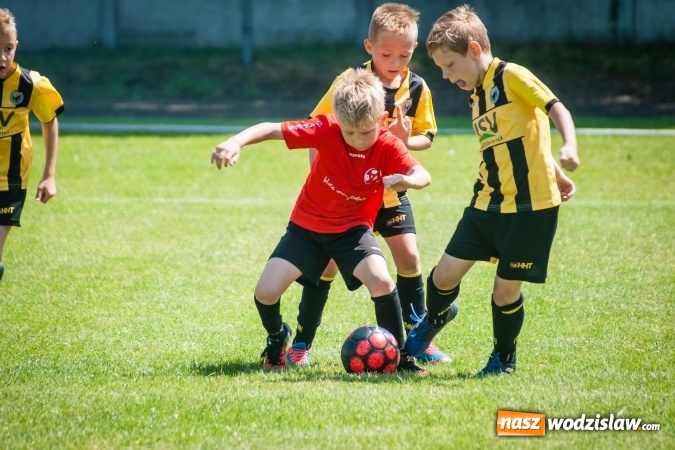 Zdjęcie w galerii na portalu naszwodzislaw.com: Tworków Cup 2017. FP Jasienica zwycięska w kategorii żaków. Dobre lokaty Odry Centrum i Naprzodu Rydułtowy wiadomości z regionu
