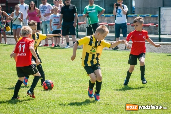 Zdjęcie w galerii na portalu naszwodzislaw.com: Tworków Cup 2017. FP Jasienica zwycięska w kategorii żaków. Dobre lokaty Odry Centrum i Naprzodu Rydułtowy wiadomości z regionu