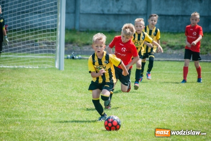 Zdjęcie w galerii na portalu naszwodzislaw.com: Tworków Cup 2017. FP Jasienica zwycięska w kategorii żaków. Dobre lokaty Odry Centrum i Naprzodu Rydułtowy wiadomości z regionu