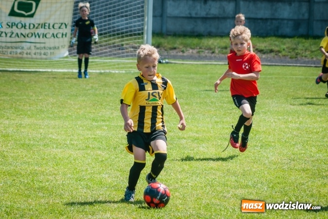 Zdjęcie w galerii na portalu naszwodzislaw.com: Tworków Cup 2017. FP Jasienica zwycięska w kategorii żaków. Dobre lokaty Odry Centrum i Naprzodu Rydułtowy wiadomości z regionu