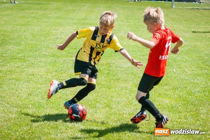Zdjęcie w galerii na portalu naszwodzislaw.com: Tworków Cup 2017. FP Jasienica zwycięska w kategorii żaków. Dobre lokaty Odry Centrum i Naprzodu Rydułtowy wiadomości z regionu