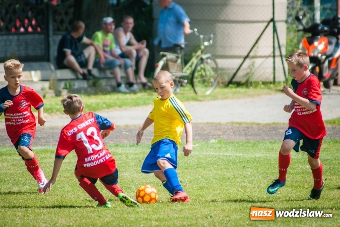 Zdjęcie w galerii na portalu naszwodzislaw.com: Tworków Cup 2017. FP Jasienica zwycięska w kategorii żaków. Dobre lokaty Odry Centrum i Naprzodu Rydułtowy wiadomości z regionu