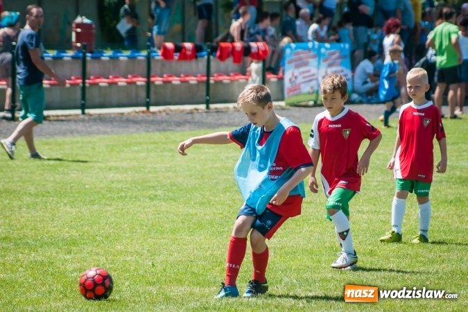 Zdjęcie w galerii na portalu naszwodzislaw.com: Tworków Cup 2017. FP Jasienica zwycięska w kategorii żaków. Dobre lokaty Odry Centrum i Naprzodu Rydułtowy wiadomości z regionu