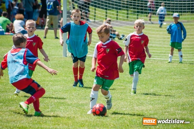 Zdjęcie w galerii na portalu naszwodzislaw.com: Tworków Cup 2017. FP Jasienica zwycięska w kategorii żaków. Dobre lokaty Odry Centrum i Naprzodu Rydułtowy wiadomości z regionu