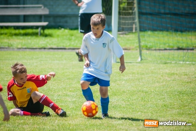 Zdjęcie w galerii na portalu naszwodzislaw.com: Tworków Cup 2017. FP Jasienica zwycięska w kategorii żaków. Dobre lokaty Odry Centrum i Naprzodu Rydułtowy wiadomości z regionu