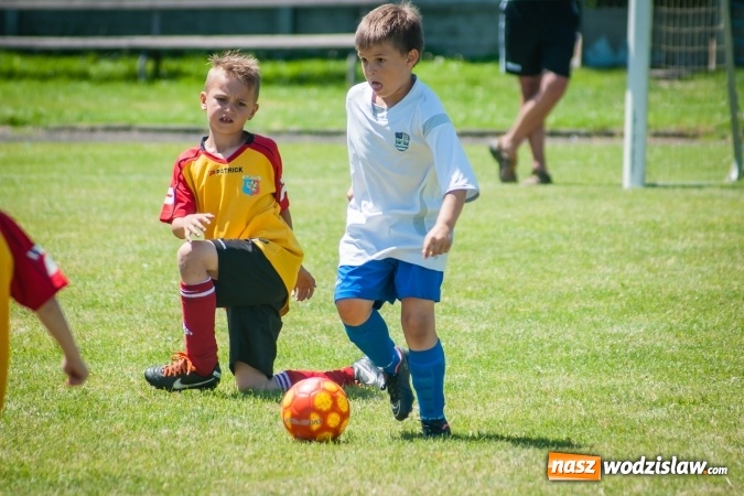 Zdjęcie w galerii na portalu naszwodzislaw.com: Tworków Cup 2017. FP Jasienica zwycięska w kategorii żaków. Dobre lokaty Odry Centrum i Naprzodu Rydułtowy wiadomości z regionu