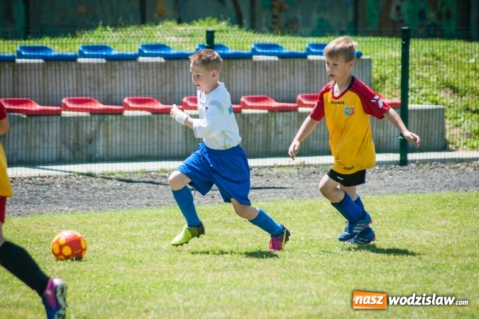 Zdjęcie w galerii na portalu naszwodzislaw.com: Tworków Cup 2017. FP Jasienica zwycięska w kategorii żaków. Dobre lokaty Odry Centrum i Naprzodu Rydułtowy wiadomości z regionu