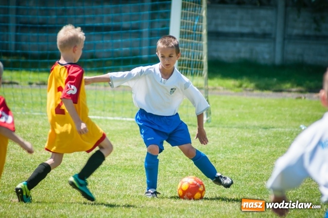Zdjęcie w galerii na portalu naszwodzislaw.com: Tworków Cup 2017. FP Jasienica zwycięska w kategorii żaków. Dobre lokaty Odry Centrum i Naprzodu Rydułtowy wiadomości z regionu