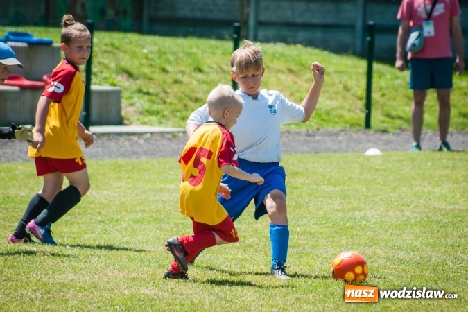 Zdjęcie w galerii na portalu naszwodzislaw.com: Tworków Cup 2017. FP Jasienica zwycięska w kategorii żaków. Dobre lokaty Odry Centrum i Naprzodu Rydułtowy wiadomości z regionu