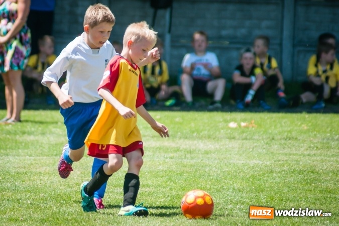 Zdjęcie w galerii na portalu naszwodzislaw.com: Tworków Cup 2017. FP Jasienica zwycięska w kategorii żaków. Dobre lokaty Odry Centrum i Naprzodu Rydułtowy wiadomości z regionu