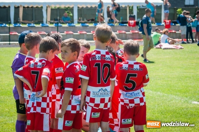 Zdjęcie w galerii na portalu naszwodzislaw.com: Tworków Cup 2017. FP Jasienica zwycięska w kategorii żaków. Dobre lokaty Odry Centrum i Naprzodu Rydułtowy wiadomości z regionu