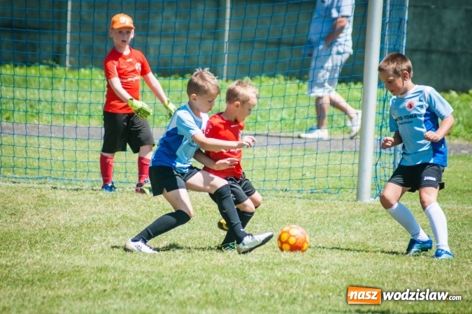 Zdjęcie w galerii na portalu naszwodzislaw.com: Tworków Cup 2017. FP Jasienica zwycięska w kategorii żaków. Dobre lokaty Odry Centrum i Naprzodu Rydułtowy wiadomości z regionu