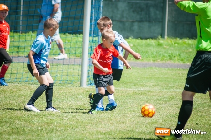 Zdjęcie w galerii na portalu naszwodzislaw.com: Tworków Cup 2017. FP Jasienica zwycięska w kategorii żaków. Dobre lokaty Odry Centrum i Naprzodu Rydułtowy wiadomości z regionu