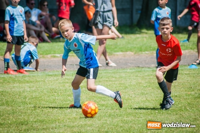 Zdjęcie w galerii na portalu naszwodzislaw.com: Tworków Cup 2017. FP Jasienica zwycięska w kategorii żaków. Dobre lokaty Odry Centrum i Naprzodu Rydułtowy wiadomości z regionu